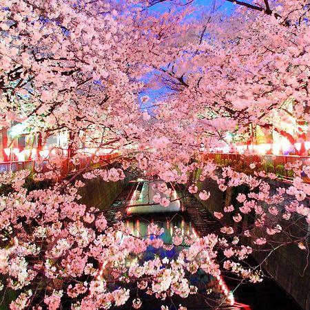 COTO Tokyo Shibuya Lejlighed Eksteriør billede