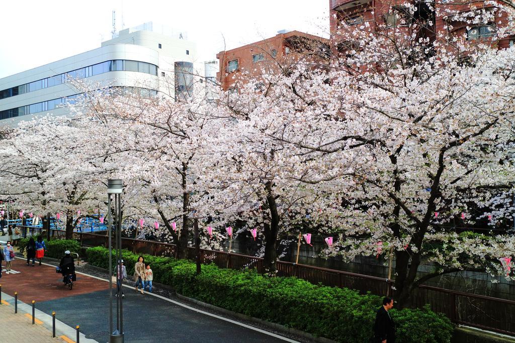 COTO Tokyo Shibuya Lejlighed Eksteriør billede